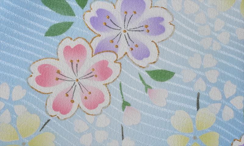 卒業袴（水色・桜）