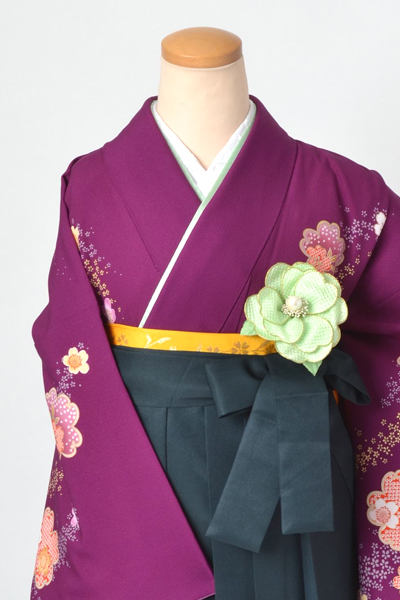 卒業袴［紫地の桜づくし模様］