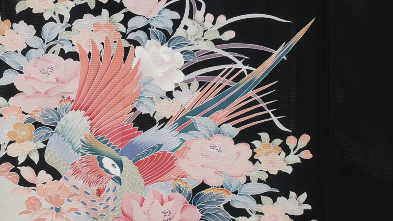 絽留袖(ぼたん・菊・鳳凰)