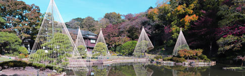 着物の出張撮影肥後細川庭園